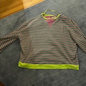 Free People Striped Sweatshirt in Green and Pink